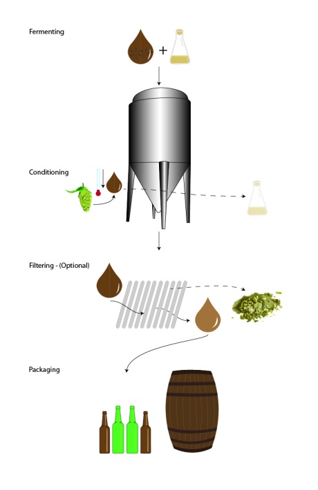 Diagramming the beer brewing process - second half.